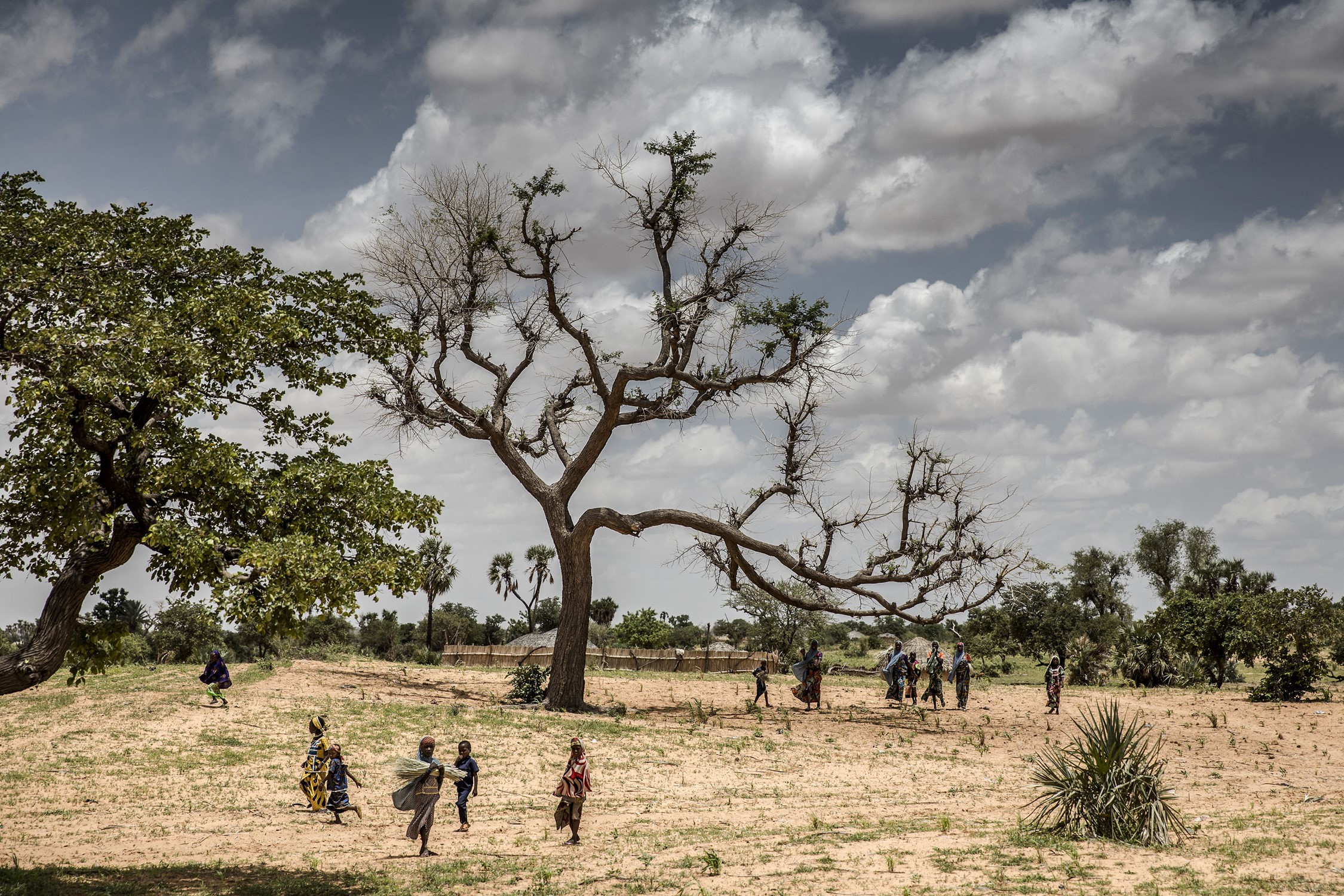 Restauration des terres dégradées en Afrique : Une nouvelle étude révèle la lenteur des progrès accomplis Restauration des terres dégradées en Afrique : Une nouvelle étude révèle la lenteur des progrès accomplis