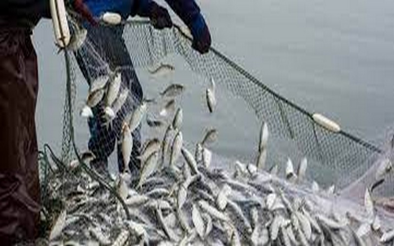 Transparence dans la gestion des pêches : le Madagascar rejoint la FiTI Transparence dans la gestion des pêches : le Madagascar rejoint la FiTI