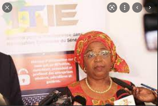 Validation de la mise en œuvre de la norme Itie 2019 :  Macky Sall applaudit et demande plus de soutien pour le Cn-Itie