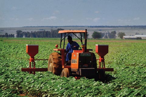 Afrique de l'Ouest: PPAAO - Promouvoir l'excellence dans la recherche des technologies agro-sylvo-pastorales