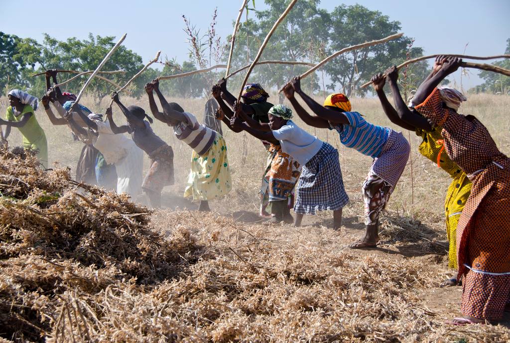 Secteur informel : Lancement d’un projet de renforcement de la résilience socio-économique des femmes