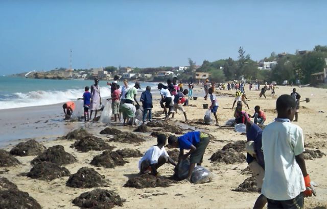 Conservation de la nature : 918 millions investis par les Pays-Bas depuis 2004 Conservation de la nature : 918 millions investis par les Pays-Bas depuis 2004