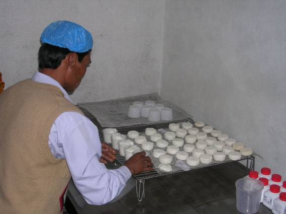 Sénégal : la région de Fatick enregistre l’ouverture d’une troisième fromagerie Sénégal : la région de Fatick enregistre l’ouverture d’une troisième fromagerie