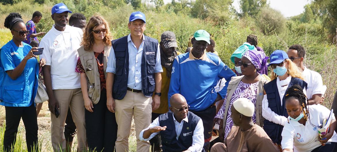Au Sénégal, le travail des agences des Nations Unies a un impact réel sur la vie des populations