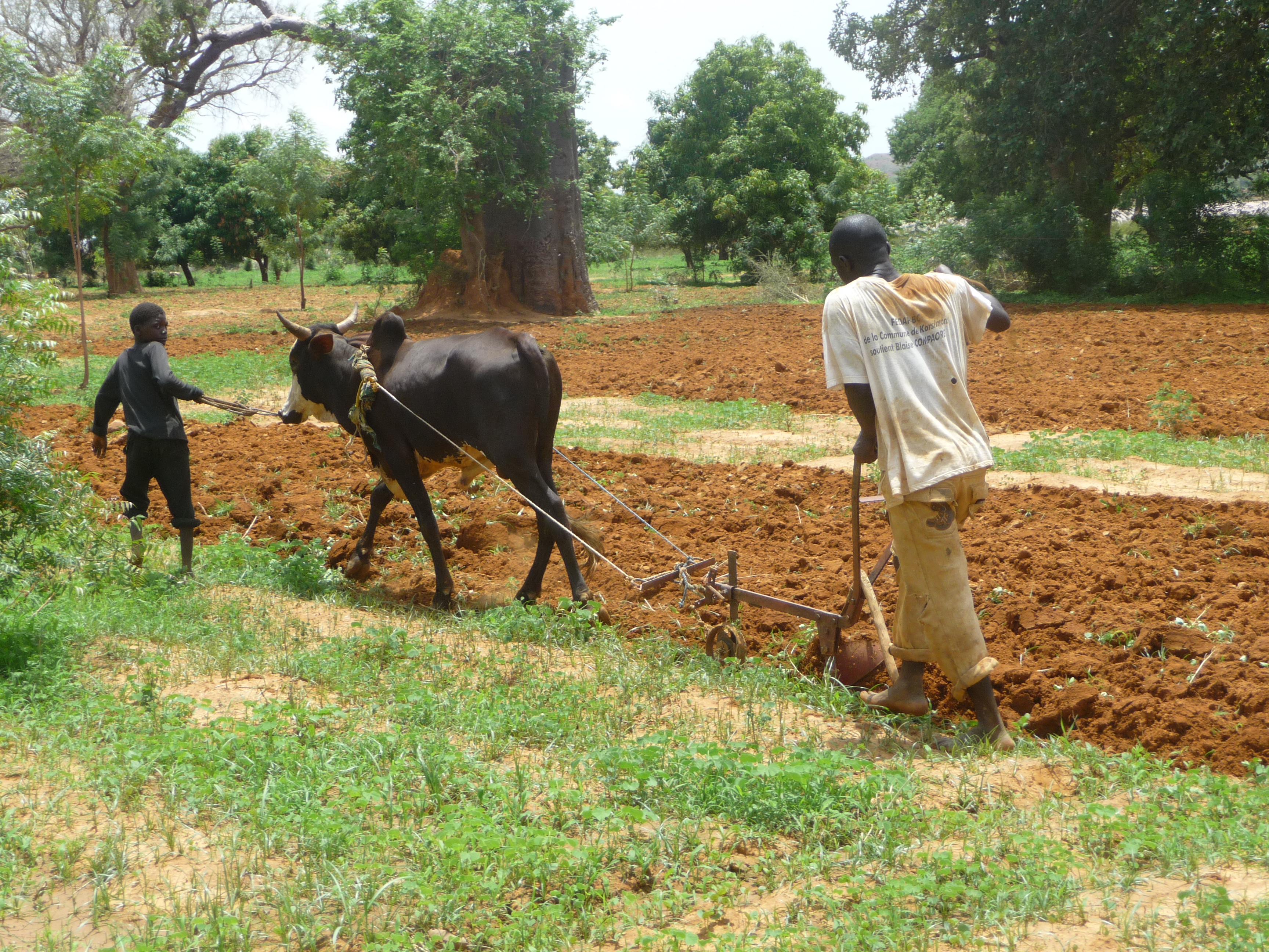 Le FNDASP est un catalyseur destiné à capter des ressources pour financer le Système National de Conseil Agro-Sylvo-Pastoral (SNCAPS), selon le ministre de l’agriculture et de l’équipement rural