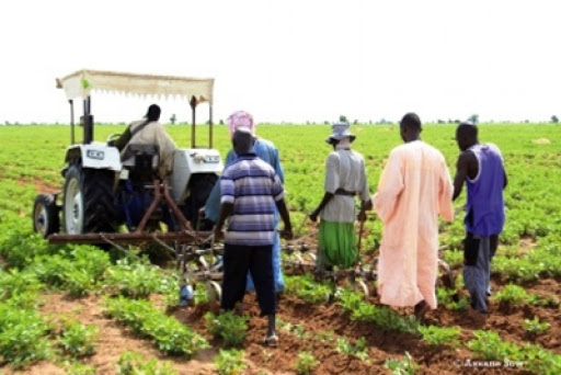Connectivité des zones agricoles : Macky Sall annonce le lancement prochain d’un programme de 130 milliards