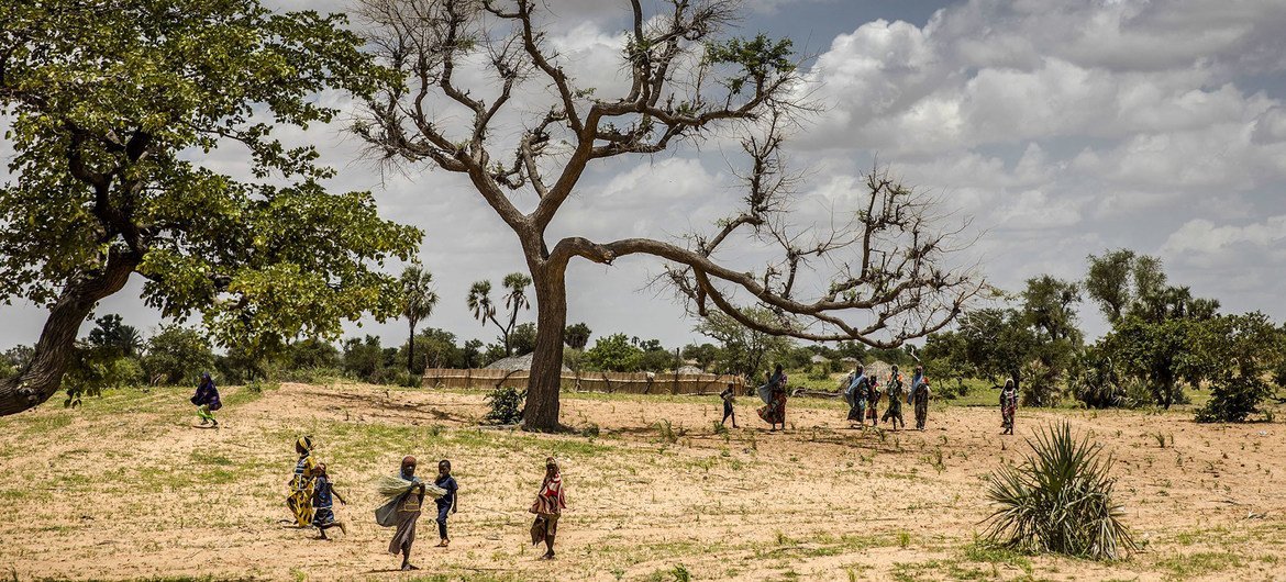 Dégradation des terres : L’Onu sonne l’alerte contre une menace à la survie