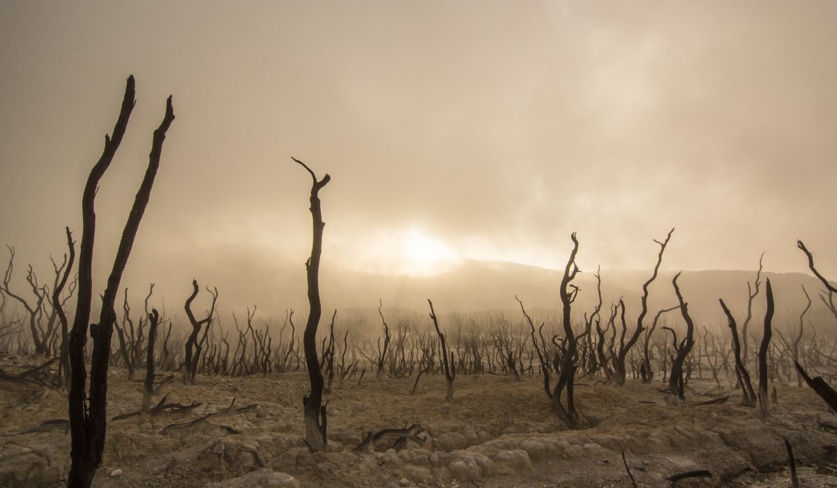 Le climat et les promesses non tenues des pays riches