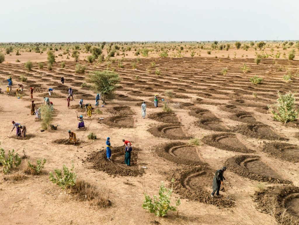 ©WFP/Evelyn Fey Au Sénégal, des efforts sont menés pour réhabiliter les sols et collecter de l'eau de pluie.