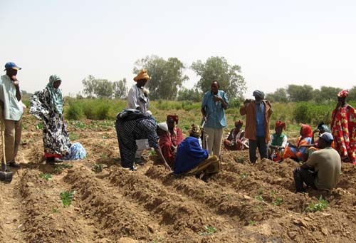 Gestion des productions agricoles : la FAO installe 24 centres d'écoute dans la vallée