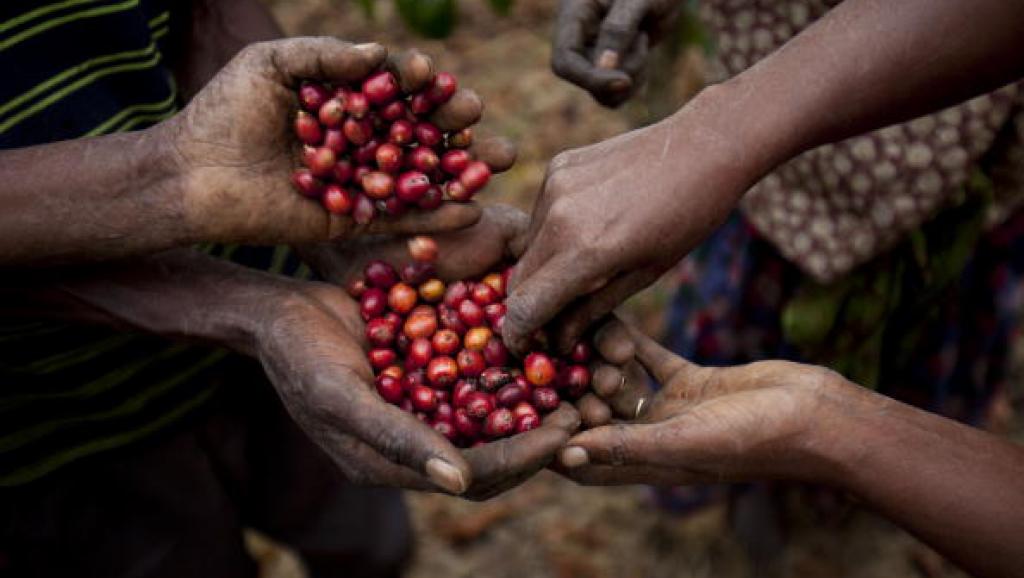 La clé de la révolution économique pour l'Afrique