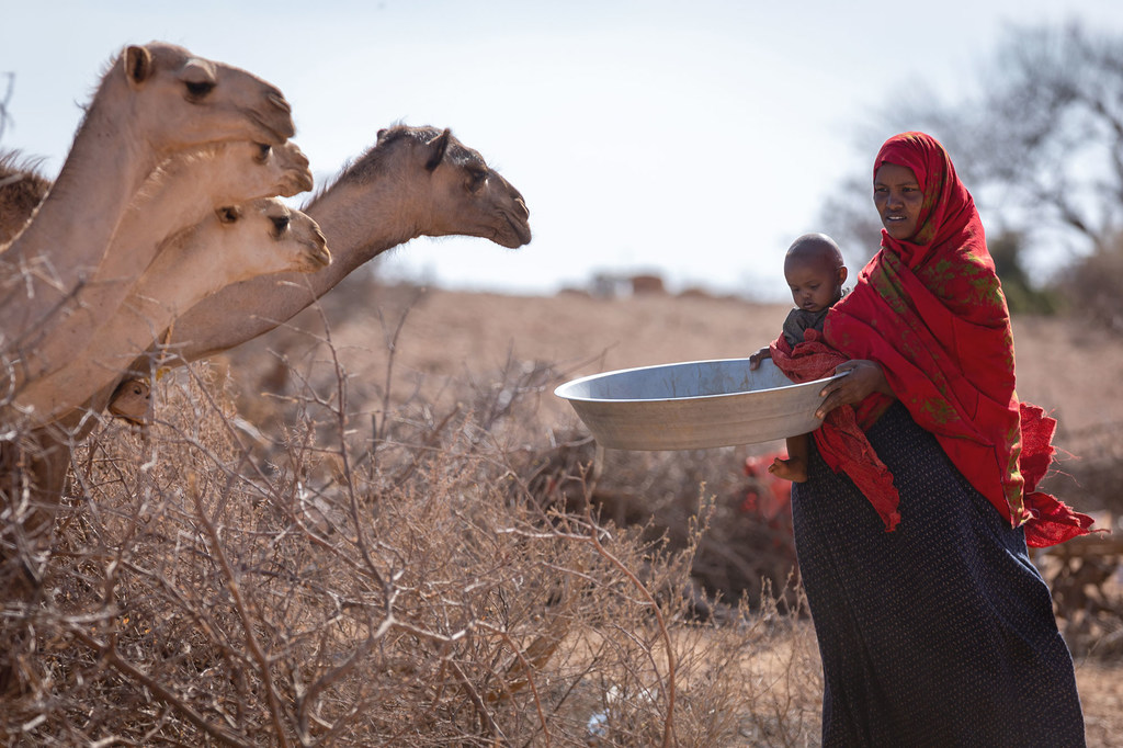 © UNICEF/Mulugaeta Ayene Une mère a peur de perdre davantage de bétail dans les mois à venir à cause de la sécheresse dans la région Somali, en Ethiopie.
