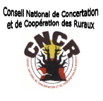 Campagne agricole : Le CNCR dénonce l’impréparation
