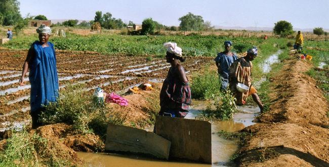 Etude économique : Le CEFDL préconise une réforme du régime de change pour promouvoir la production locale