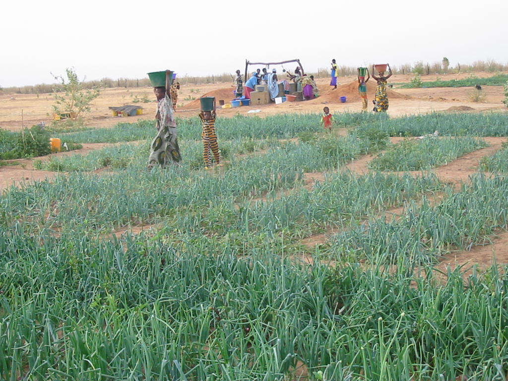 Agriculture  : Le projet PASA LOU-MA-KAF réceptionne son matériel roulant