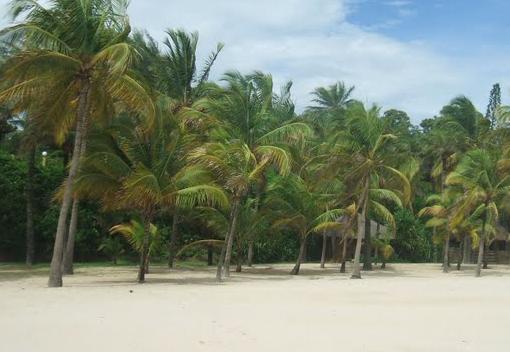 Tourisme: 9.049 arrivées enregistrées au Cap-Skirring en 2013 Tourisme: 9.049 arrivées enregistrées au Cap-Skirring en 2013