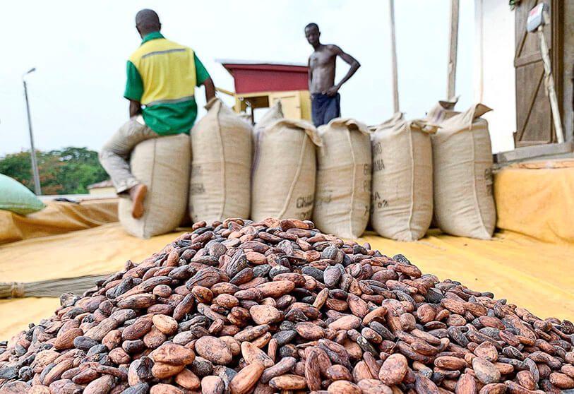 Produits du cacao :Les exportations de l'Union ont progressé de 11,3% en 2021