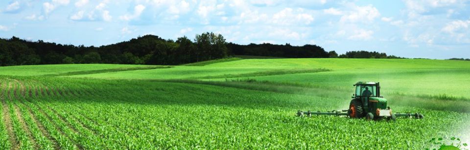 Des producteurs invités à adopter l'agricultrure biologique