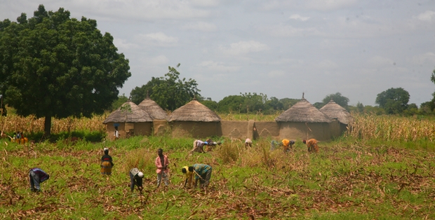 Afrique: Le monde rural, la hantise des Ape