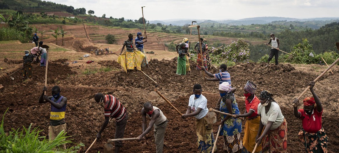 PAM/Arete/Fredrik Lerneryd À Kiramutse, au Rwanda, un groupe de personnes prépare la terre pour les cultures en terrasses.