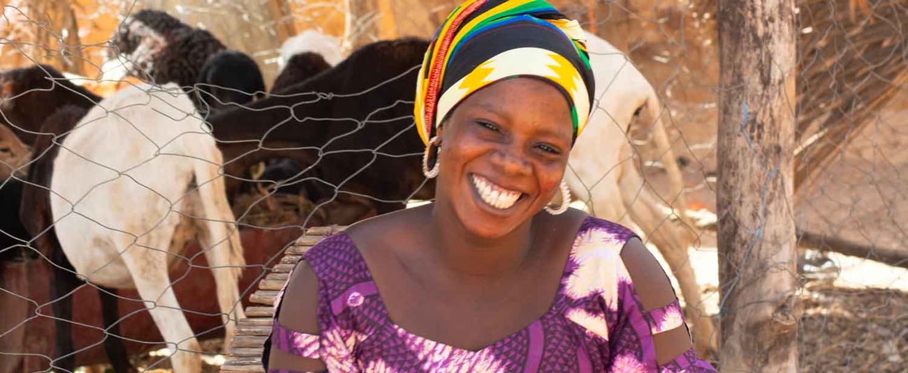 Projet de développement de l’élevage : La Bad octroie un prêt de 25 milliards de FCFA au Sénégal