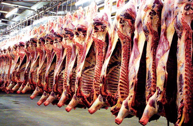 Elevage et pêche : Baisse de 3,4% des abattages contrôlés de viande au Sénégal à fin juillet 2014