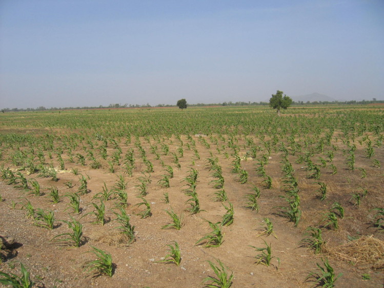 « Clim Dev Afrique » pour plus d'investissement sur la recherche en changement climatique
