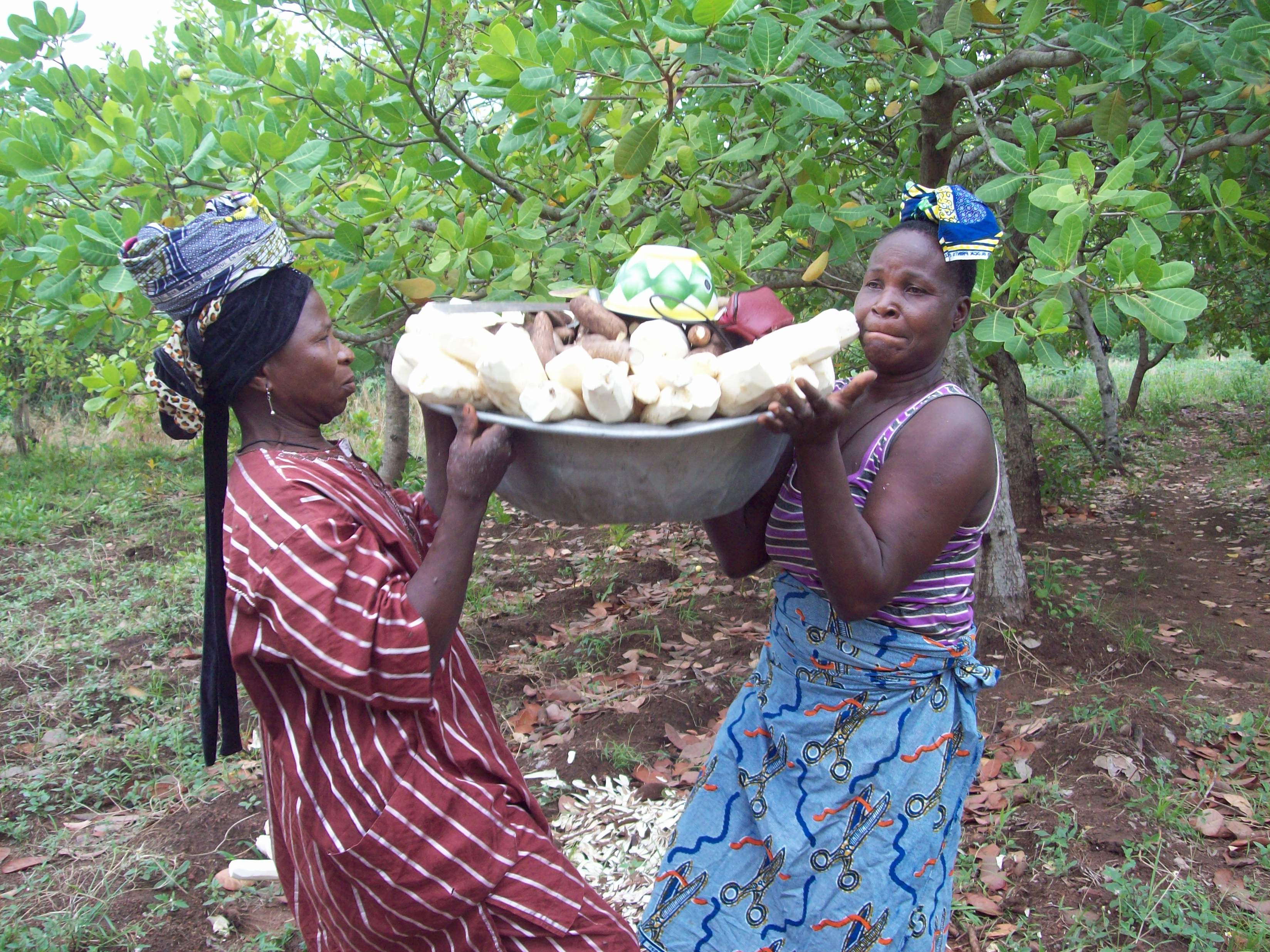 Afrique: La participation des femmes rurales est indispensable pour l'avenir de la planète