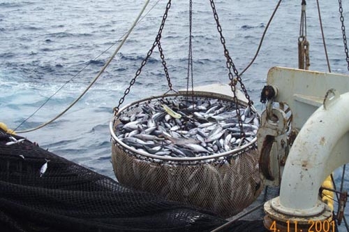 ''La lettre de politique sectorielle de la pêche doit être ajustée au PSE"