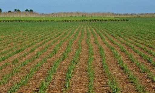 Les décideurs politiques africains se prononcent pour les Principes directeurs des investissements fonciers Les décideurs politiques africains se prononcent pour les Principes directeurs des investissements fonciers