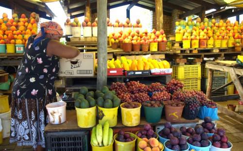 La FAO honore 6 pays africains qui ont atteint le premier OMD avant 2015
