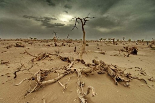 Les pays développés accusés de retarder l'accord sur le changement climatique