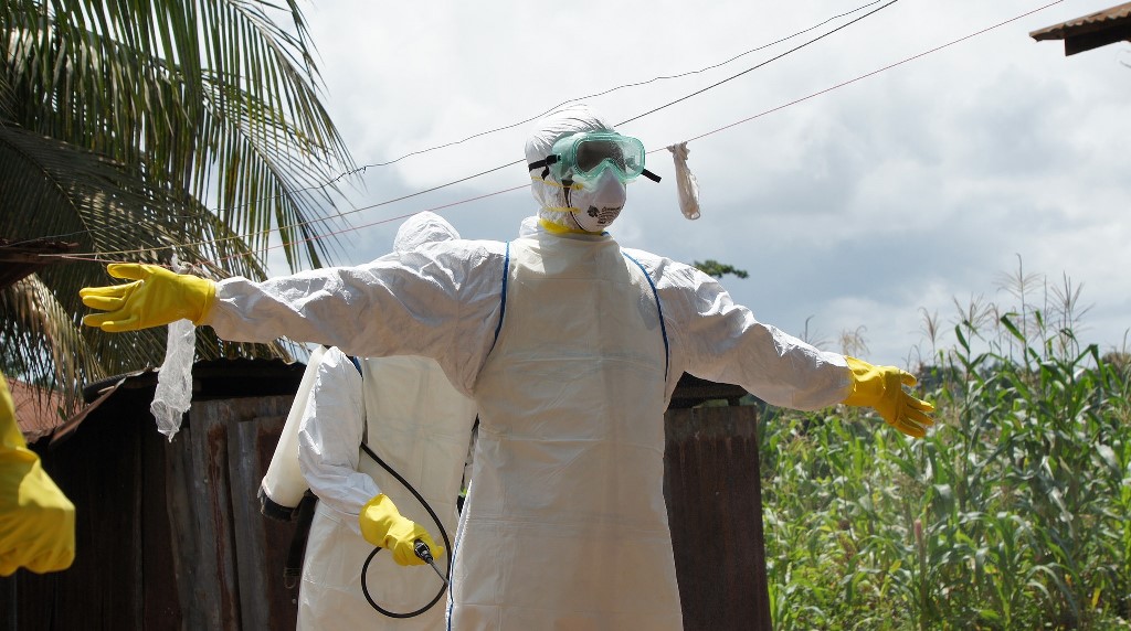 INSECURITE ALIMENTAIRE EN AFRIQUE DE L’OUEST : Ebola impacte négativement les filières agricoles, selon la FAO