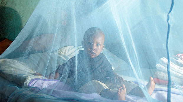 Afrique: Net recul de la mortalité due au paludisme, notamment en Afrique, selon l'OMS Afrique: Net recul de la mortalité due au paludisme, notamment en Afrique, selon l'OMS