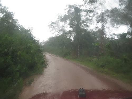 Côte d’Ivoire : les fortes pluies empêchent la commercialisation de la récolte de cacao