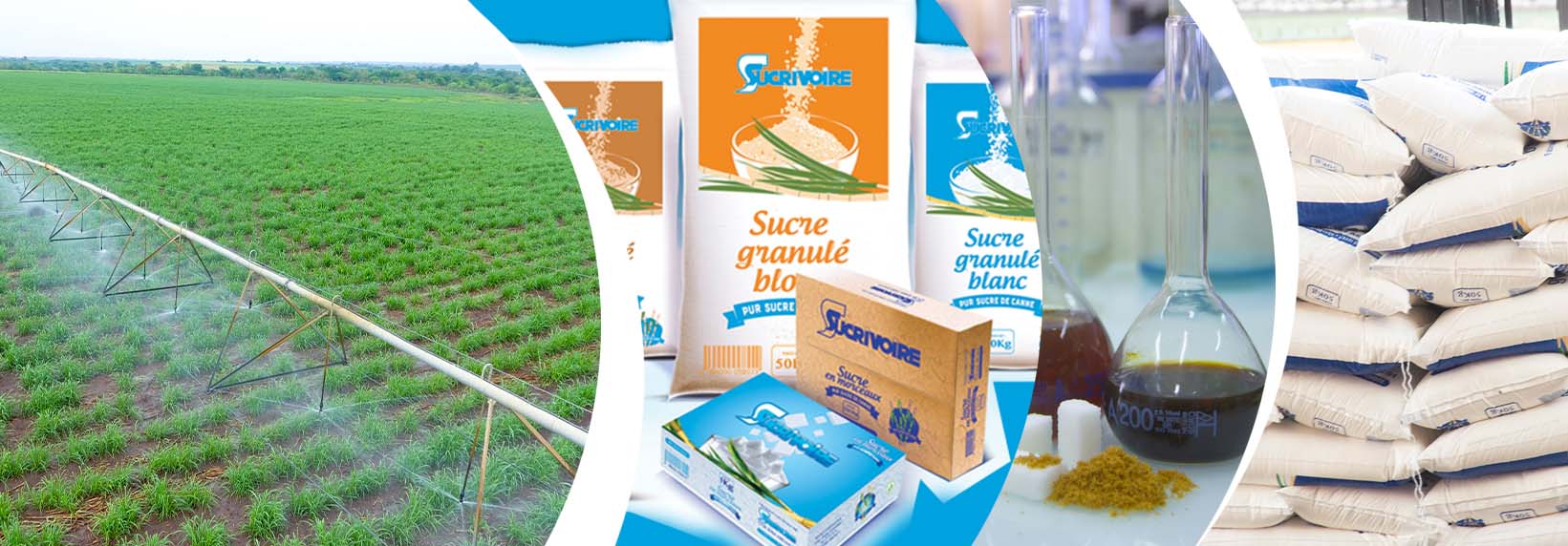 Côte d’Ivoire : Accentuation de la perte de la société Sucrivoire en 2022.
