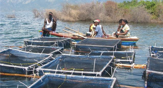 PECHE: La tutelle veut reconsidérer la position de l'aquaculture au Sénégal