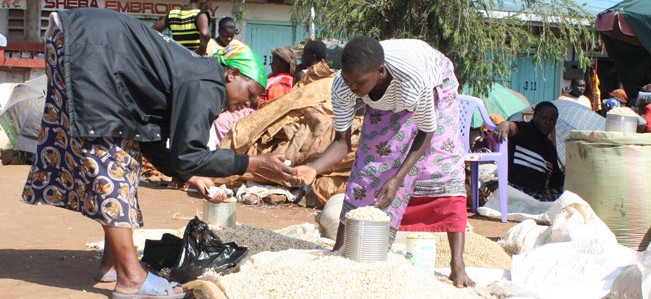 Semences certifiées : Le Sénégal veut porter sa production de 12 à 25 % d’ici à 2017