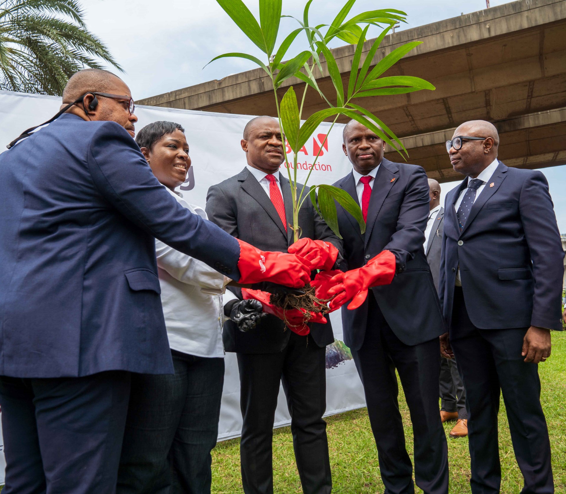 Protection de l’environnement, révolution verte : La fondation Uba lance une campagne de plantation d’arbres