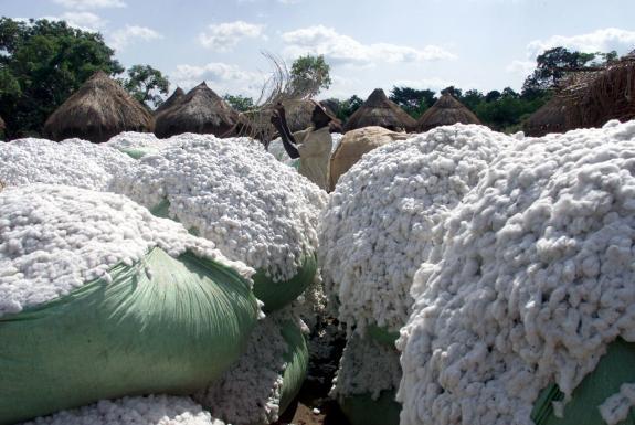 Sénégal : L’activité d’égrenage de coton et de fabrication de textile s’est contractée