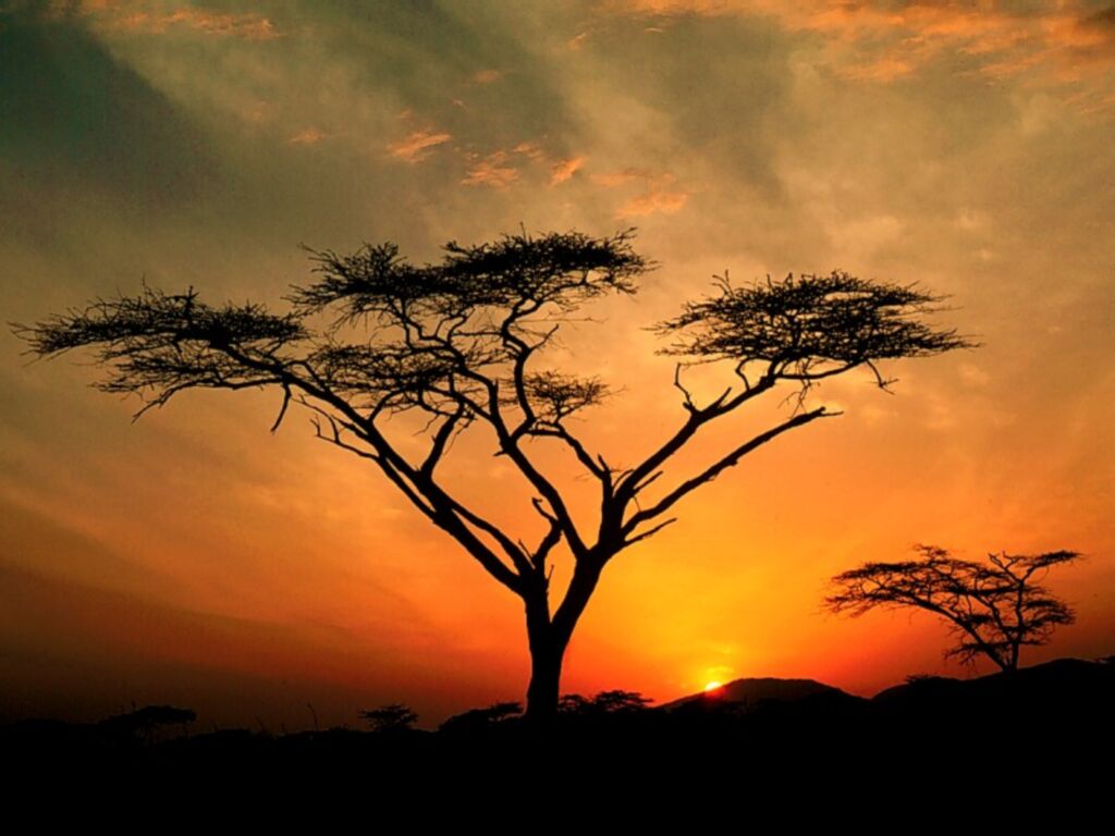 L'Afrique qualifiée de terre d'opportunités