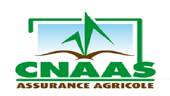 Produits d’assurance associés aux risques naturels : 39 milliards de FCFA de capital assuré par la Cnaas en 2022