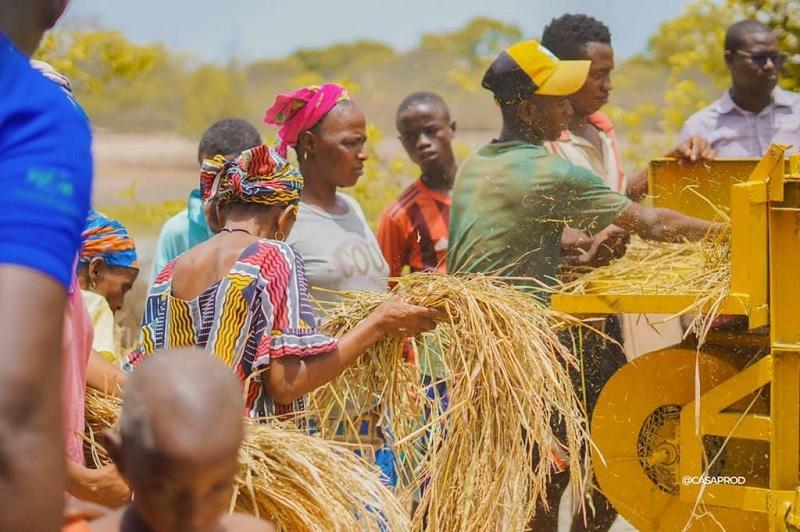 Souveraineté alimentaire : Le Big dévoile l’impact des efforts de l’Etat