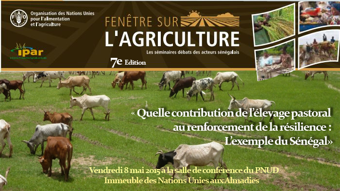 Elevage : La FAO déplore la faible prise en compte de l’élevage pastoral dans les politiques agricoles au Sénégal