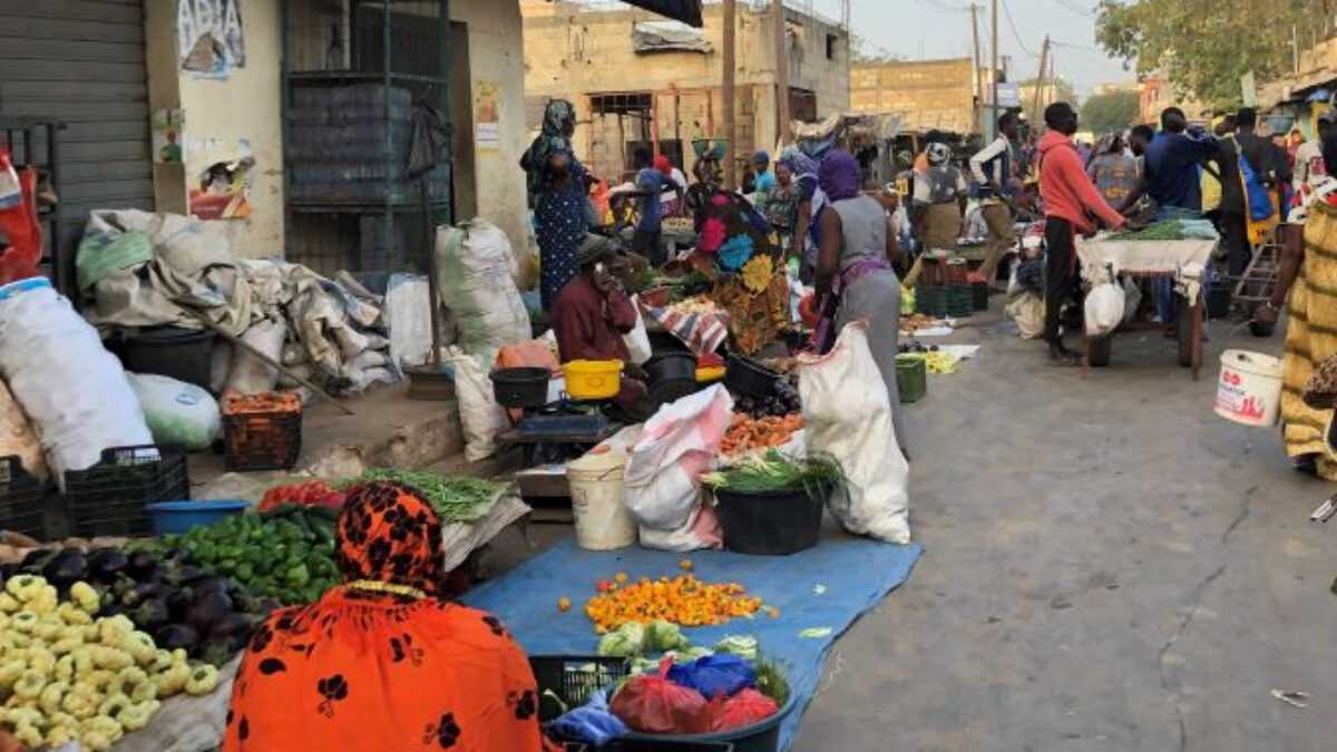 Bonne tenue de l’activité économique interne en novembre 2023