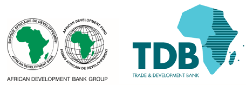 Réduction des émissions de carbone en Afrique : La Bad et le groupe Tdb joignent leurs efforts pour développer des technologies