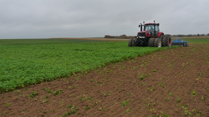 Sénégal : La production de semences forestières permet de reconstituer le couvert végétal Sénégal : La production de semences forestières permet de reconstituer le couvert végétal
