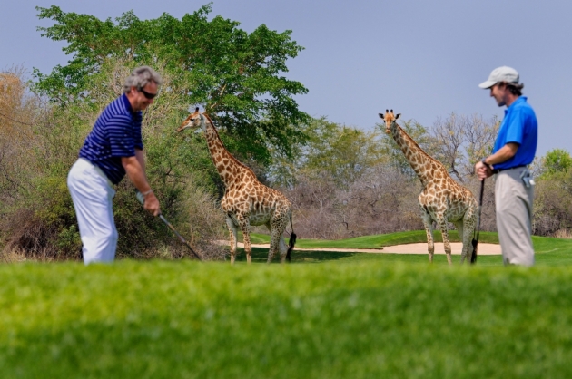 L’Afrique nouvelle destination des grands groupes hôteliers