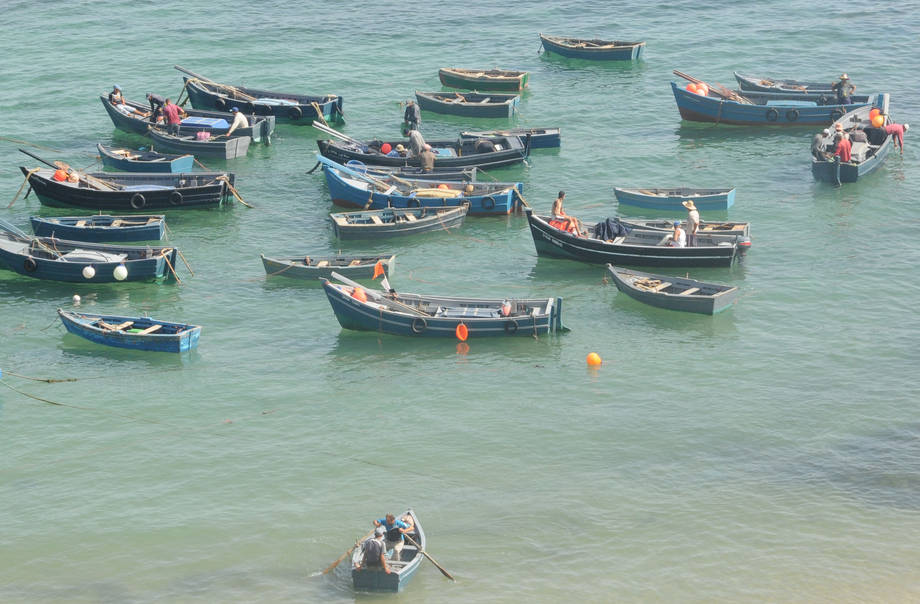 Pêche : Vers un dispositif de lutte cohérent Pêche : Vers un dispositif de lutte cohérent