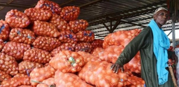 Gel des importations d’oignons : L’entrée en vigueur fixée au 25 janvier  2025 Gel des importations d’oignons : L’entrée en vigueur fixée au 25 janvier  2025